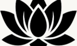 Nettoyage des entités